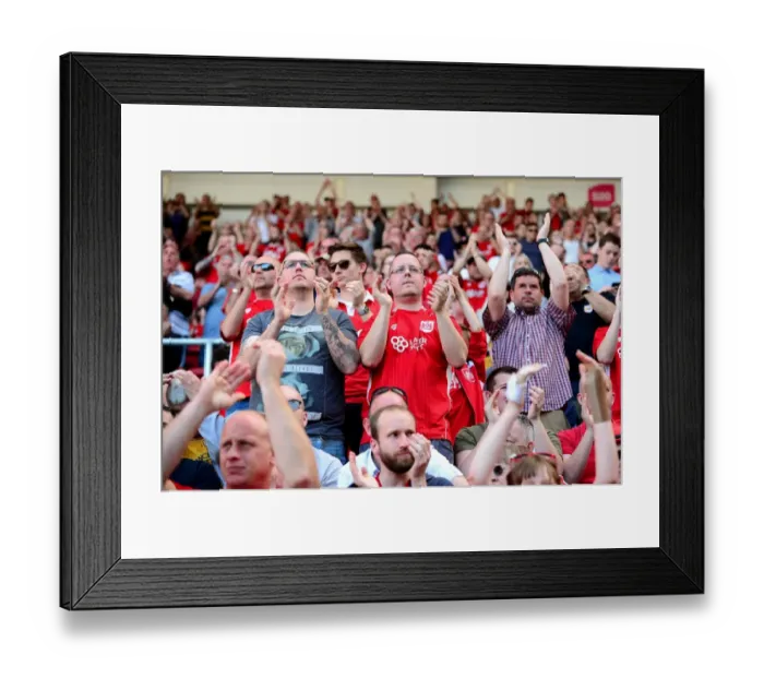 Framed Print : Championship Showdown: Bristol City vs. Wolverhampton Wanderers at Ashton Gate