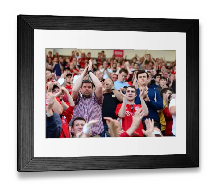 Framed Print : Sky Bet Championship Showdown: Battle at Ashton Gate - Bristol City vs. Wolverhampton Wanderers (April 2017)
