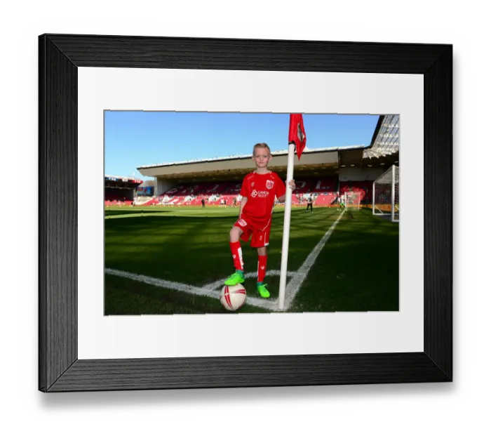 Framed Print : Bristol City vs. Wolverhampton Wanderers Clash at Ashton Gate, Sky Bet Championship (08.04.2017) Framed Print : Bristol City vs. Wolverhampton Wanderers Clash at Ashton Gate, Sky Bet Championship (08.04.2017)