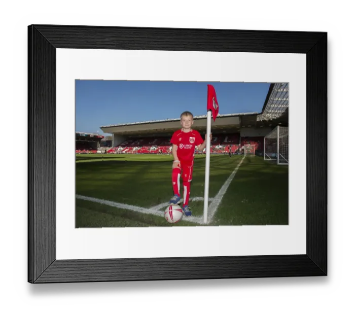 Framed Print : Sky Bet Championship Showdown: Bristol City vs. Wolverhampton Wanderers at Ashton Gate - 8th April 2017