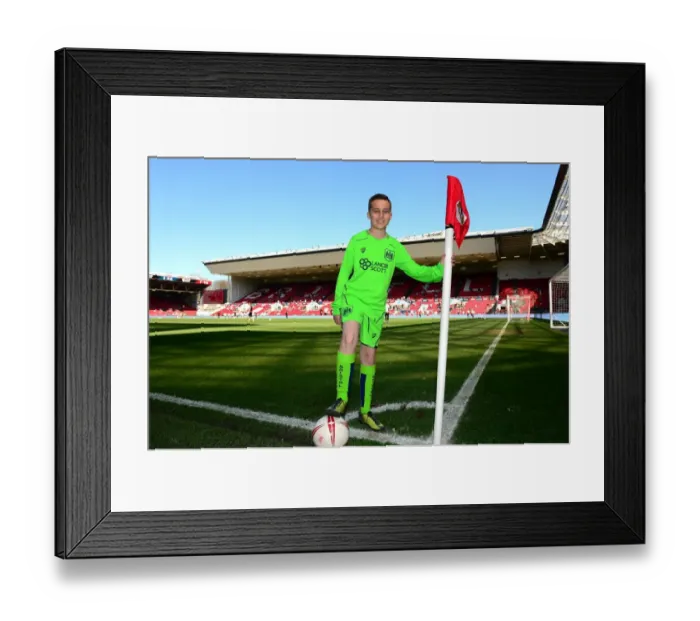 Framed Print : Sky Bet Championship Showdown: Bristol City vs. Wolverhampton Wanderers at Ashton Gate - April 8, 2017
