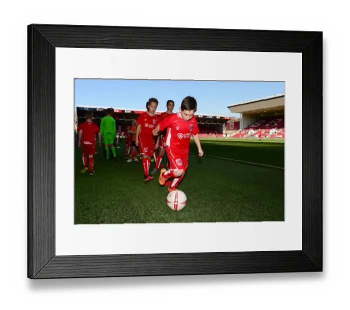 Framed Print : Bristol City vs. Wolverhampton Wanderers: A Championship Showdown (April 2017)