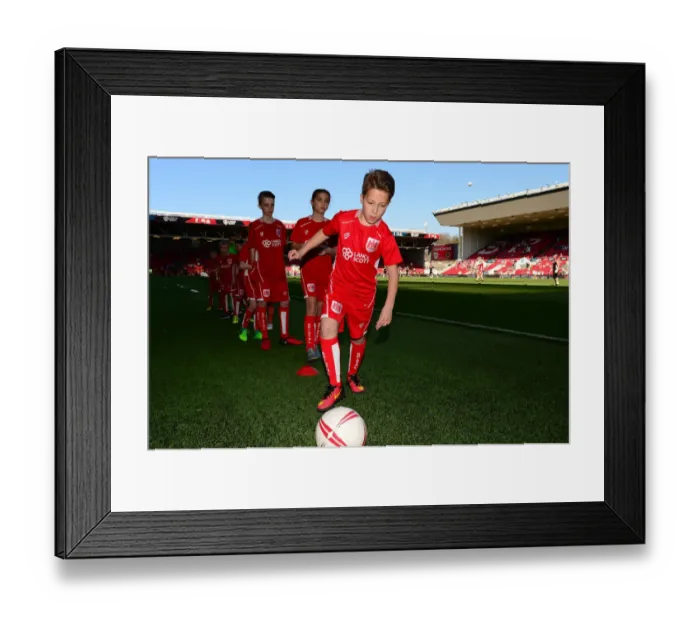 Framed Print : Bristol City Mascot at Ashton Gate during Sky Bet Championship Match against Wolverhampton Wanderers Framed Print : Bristol City Mascot at Ashton Gate during Sky Bet Championship Match against Wolverhampton Wanderers