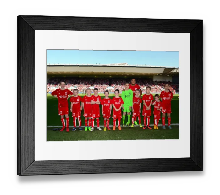 Framed Print : Bristol City vs. Wolverhampton Wanderers: A Thrilling Sky Bet Championship Match at Ashton Gate Framed Print : Bristol City vs. Wolverhampton Wanderers: A Thrilling Sky Bet Championship Match at Ashton Gate