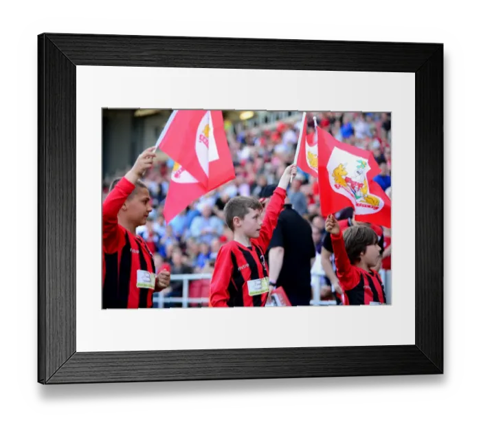 Framed Print : Flagbearers Clash: Bristol City vs. Wolverhampton Wanderers in Sky Bet Championship (08.04.2017) Framed Print : Flagbearers Clash: Bristol City vs. Wolverhampton Wanderers in Sky Bet Championship (08.04.2017)