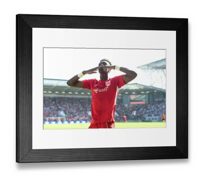 Framed Print : Tammy Abraham's Goal Celebration: Bristol City vs. Wolverhampton Wanderers, Sky Bet Championship (08.04.2017)