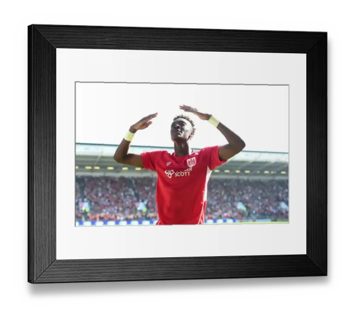 Framed Print : Tammy Abraham's Euphoric Goal: Shocking Upset as Bristol City Defeats Wolverhampton Wanderers (08.04.2017) Framed Print : Tammy Abraham's Euphoric Goal: Shocking Upset as Bristol City Defeats Wolverhampton Wanderers (08.04.2017)