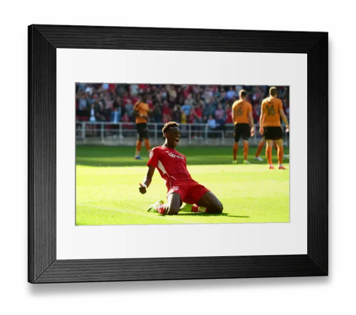 Framed Print : Tammy Abraham's Double: Champion Performance by Bristol City vs. Wolverhampton Wanderers (08-04-2017) Framed Print : Tammy Abraham's Double: Champion Performance by Bristol City vs. Wolverhampton Wanderers (08-04-2017)