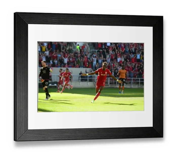 Framed Print : Tammy Abraham's Double: Bristol City's Championship Winning Moment vs. Wolverhampton Wanderers (8 April 2017) Framed Print : Tammy Abraham's Double: Bristol City's Championship Winning Moment vs. Wolverhampton Wanderers (8 April 2017)
