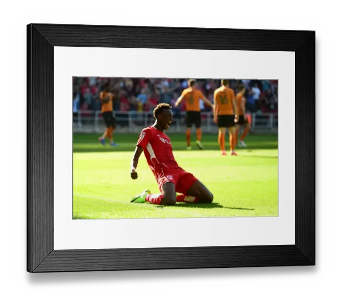 Framed Print : Tammy Abraham's Brace: Bristol City's Double Strike Against Wolverhampton Wanderers (08-04-2017) Framed Print : Tammy Abraham's Brace: Bristol City's Double Strike Against Wolverhampton Wanderers (08-04-2017)