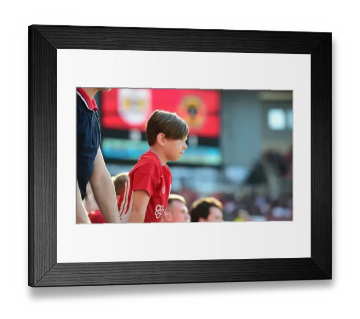 Framed Print : Passionate Bristol City Fans Pack Ashton Gate Stadium for Sky Bet Championship Match against Wolverhampton Wanderers (08.04.2017)
