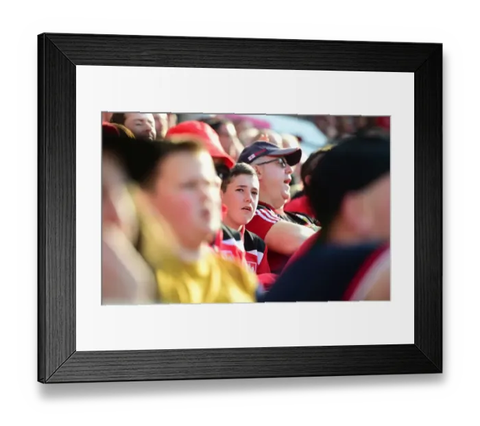 Framed Print : Sky Bet Championship Showdown: A Battle at Ashton Gate - Bristol City vs. Wolverhampton Wanderers (April 2017)