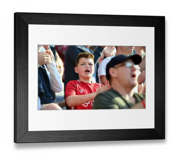 Framed Print : Battle at Ashton Gate: Sky Bet Championship Showdown - Bristol City vs. Wolverhampton Wanderers (April 2017) Framed Print : Battle at Ashton Gate: Sky Bet Championship Showdown - Bristol City vs. Wolverhampton Wanderers (April 2017)