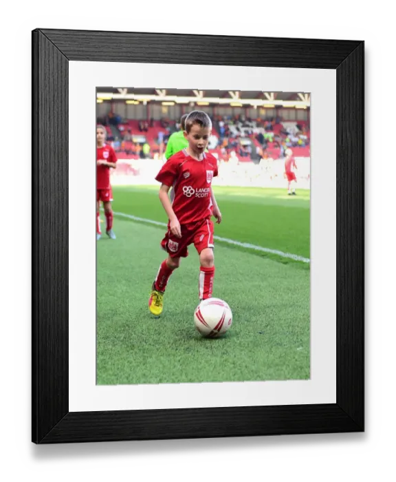 Framed Print : Mascots Clash: Bristol City vs. Wolverhampton Wanderers, Sky Bet Championship (08.04.2017), Ashton Gate Framed Print : Mascots Clash: Bristol City vs. Wolverhampton Wanderers, Sky Bet Championship (08.04.2017), Ashton Gate