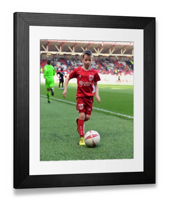 Framed Print : Sky Bet Championship Showdown: A Mascot Battle at Ashton Gate - Bristol City vs. Wolverhampton Wanderers Framed Print : Sky Bet Championship Showdown: A Mascot Battle at Ashton Gate - Bristol City vs. Wolverhampton Wanderers