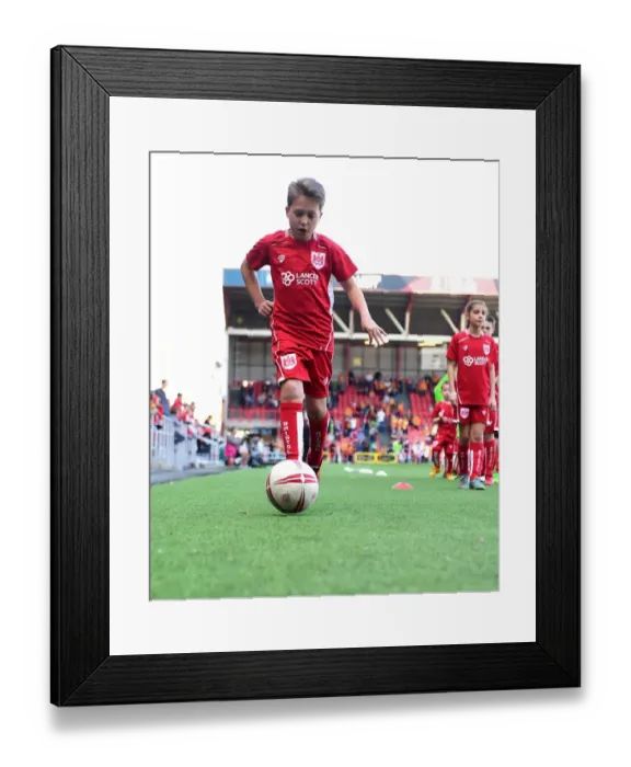 Framed Print : Sky Bet Championship: Mascots Face-Off at Ashton Gate - Bristol City vs. Wolverhampton Wanderers (April 2017) Framed Print : Sky Bet Championship: Mascots Face-Off at Ashton Gate - Bristol City vs. Wolverhampton Wanderers (April 2017)