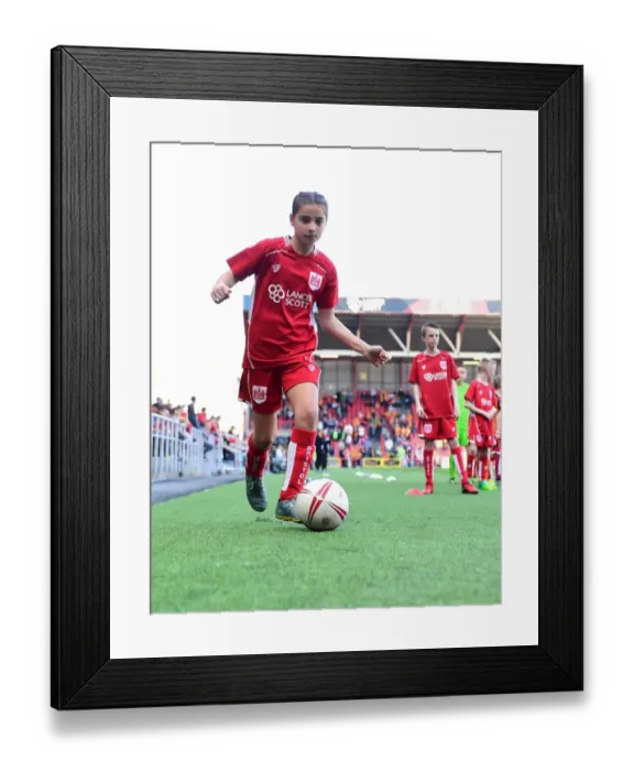 Framed Print : Sky Bet Championship Showdown: Bristol City and Wolverhampton Wanderers Mascots Face Off at Ashton Gate (April 2017) Framed Print : Sky Bet Championship Showdown: Bristol City and Wolverhampton Wanderers Mascots Face Off at Ashton Gate (April 2017)