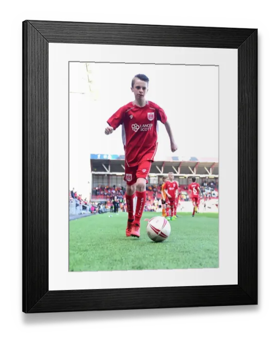 Framed Print : Sky Bet Championship Showdown: Mascot Clash - Bristol City vs. Wolverhampton Wanderers (April 2017) Framed Print : Sky Bet Championship Showdown: Mascot Clash - Bristol City vs. Wolverhampton Wanderers (April 2017)