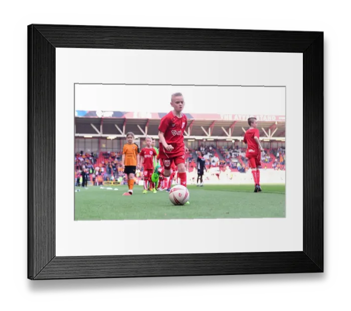 Framed Print : Football Rivalry in Action: Bristol City vs. Wolverhampton Wanderers Mascot Showdown, Sky Bet Championship (April 2017)