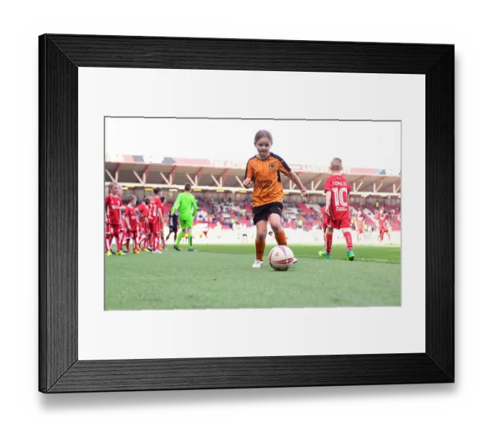 Framed Print : Bristol City vs. Wolverhampton Wanderers: Mascot Showdown at Ashton Gate (April 2017)