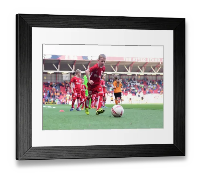 Framed Print : Sky Bet Championship: A Mascot Showdown - Bristol City vs. Wolverhampton Wanderers Framed Print : Sky Bet Championship: A Mascot Showdown - Bristol City vs. Wolverhampton Wanderers