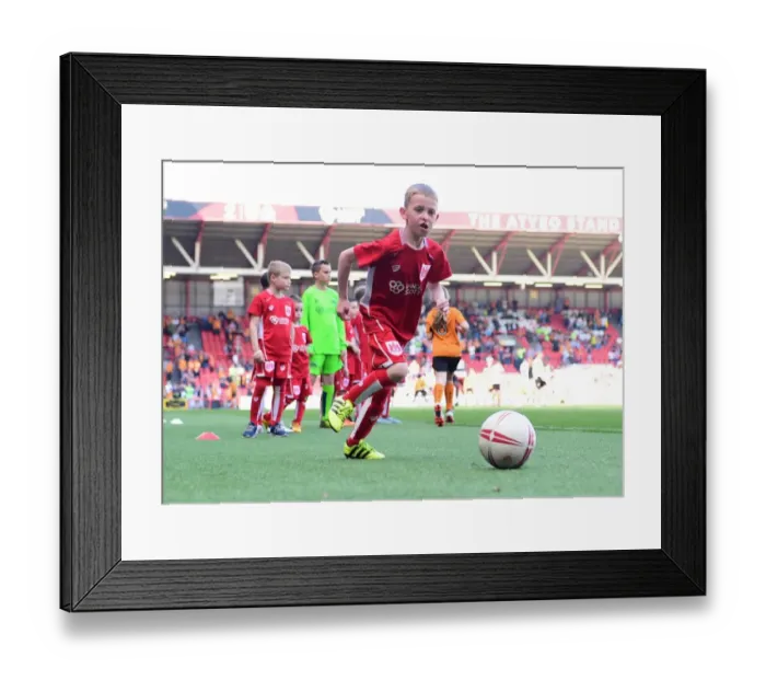 Framed Print : Sky Bet Championship Showdown: Mandatory Mascot Clash - Bristol City vs. Wolverhampton Wanderers (April 2017), Joe Meredith / JMP Framed Print : Sky Bet Championship Showdown: Mandatory Mascot Clash - Bristol City vs. Wolverhampton Wanderers (April 2017), Joe Meredith / JMP