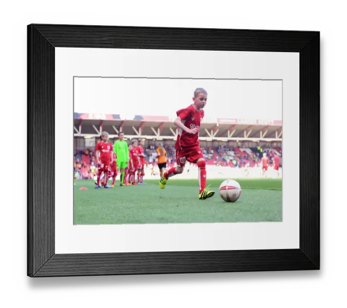 Framed Print : Bristol City vs. Wolverhampton Wanderers: A Mascot Showdown at Ashton Gate Framed Print : Bristol City vs. Wolverhampton Wanderers: A Mascot Showdown at Ashton Gate