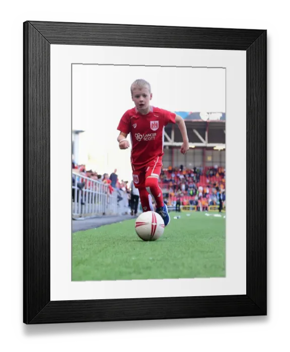Framed Print : A Mascot Showdown: Bristol City vs. Wolverhampton Wanderers in the Sky Bet Championship, Ashton Gate, Bristol