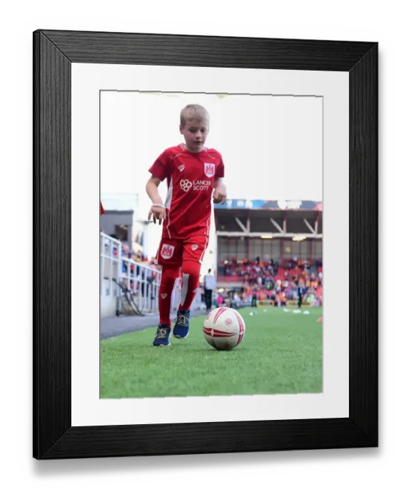 Framed Print : Sky Bet Championship Showdown: A Clash of Mascots at Ashton Gate - Bristol City vs. Wolverhampton Wanderers Framed Print : Sky Bet Championship Showdown: A Clash of Mascots at Ashton Gate - Bristol City vs. Wolverhampton Wanderers