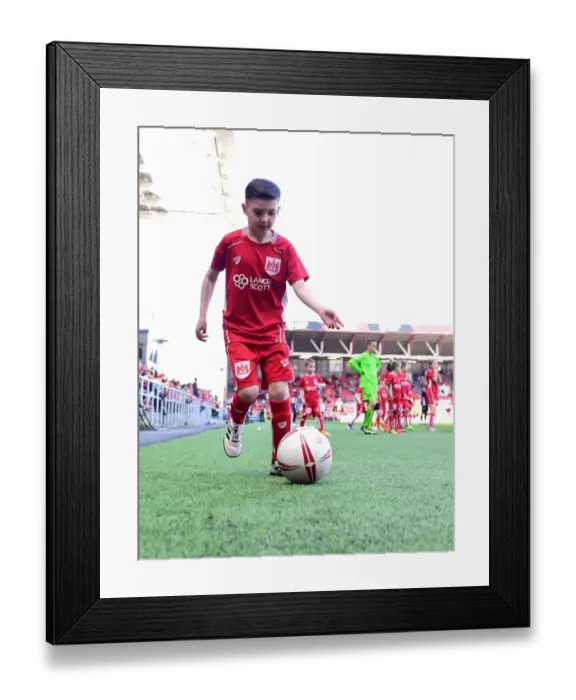 Framed Print : Bristol City vs. Wolverhampton Wanderers: A Mascot Showdown at Ashton Gate Framed Print : Bristol City vs. Wolverhampton Wanderers: A Mascot Showdown at Ashton Gate
