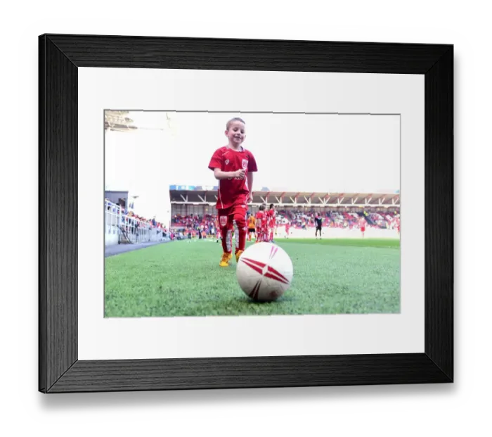 Framed Print : Mascots Face-Off: Bristol City vs. Wolverhampton Wanderers, Sky Bet Championship (April 2017) Framed Print : Mascots Face-Off: Bristol City vs. Wolverhampton Wanderers, Sky Bet Championship (April 2017)