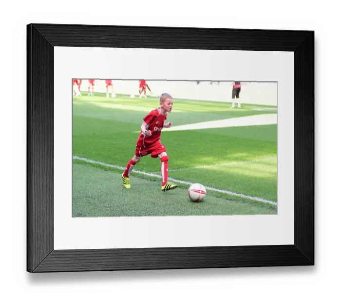 Framed Print : Sky Bet Championship Showdown: Mandatory Mascot Clash - Bristol City vs. Wolverhampton Wanderers (April 2017) - Ashton Gate Framed Print : Sky Bet Championship Showdown: Mandatory Mascot Clash - Bristol City vs. Wolverhampton Wanderers (April 2017) - Ashton Gate