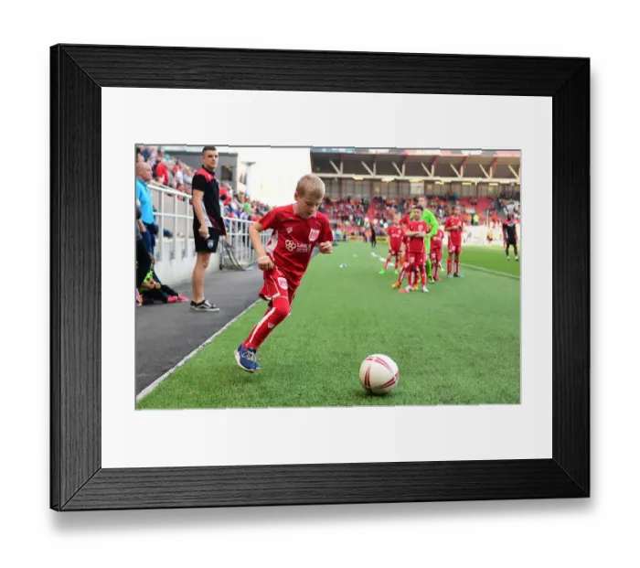 Framed Print : Bristol City vs. Wolverhampton Wanderers Mascot Showdown in Sky Bet Championship - April 2017, Ashton Gate Framed Print : Bristol City vs. Wolverhampton Wanderers Mascot Showdown in Sky Bet Championship - April 2017, Ashton Gate