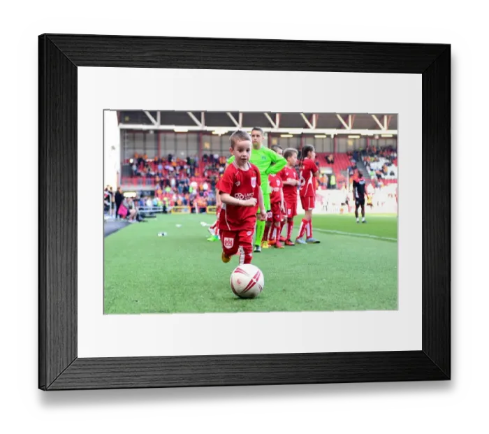 Framed Print : Sky Bet Championship Showdown: Mandatory Mascot Clash - Bristol City vs. Wolverhampton Wanderers (April 2017) Framed Print : Sky Bet Championship Showdown: Mandatory Mascot Clash - Bristol City vs. Wolverhampton Wanderers (April 2017)