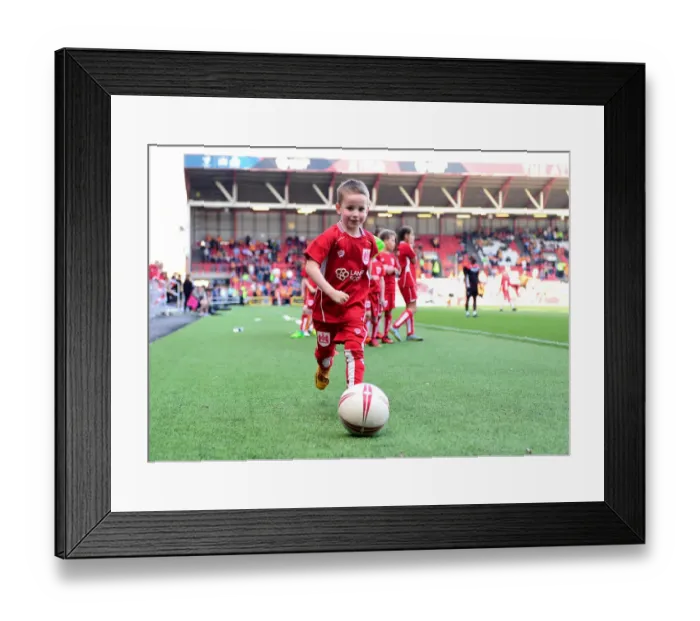 Framed Print : Bristol City vs. Wolverhampton Wanderers Mascot Showdown, Sky Bet Championship (April 2017), Ashton Gate Framed Print : Bristol City vs. Wolverhampton Wanderers Mascot Showdown, Sky Bet Championship (April 2017), Ashton Gate