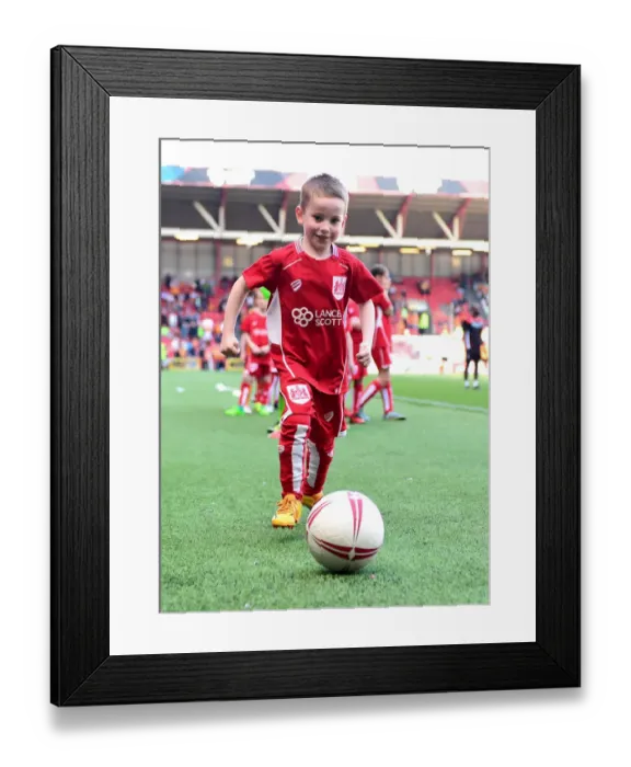 Framed Print : Bristol City vs. Wolverhampton Wanderers Mascot Showdown in Sky Bet Championship (April 2017), Ashton Gate