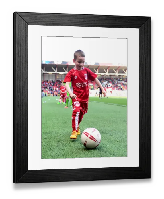 Framed Print : Football Rivalry Unleashed: A Showdown between Bristol City and Wolverhampton Wanderers Mascots Framed Print : Football Rivalry Unleashed: A Showdown between Bristol City and Wolverhampton Wanderers Mascots