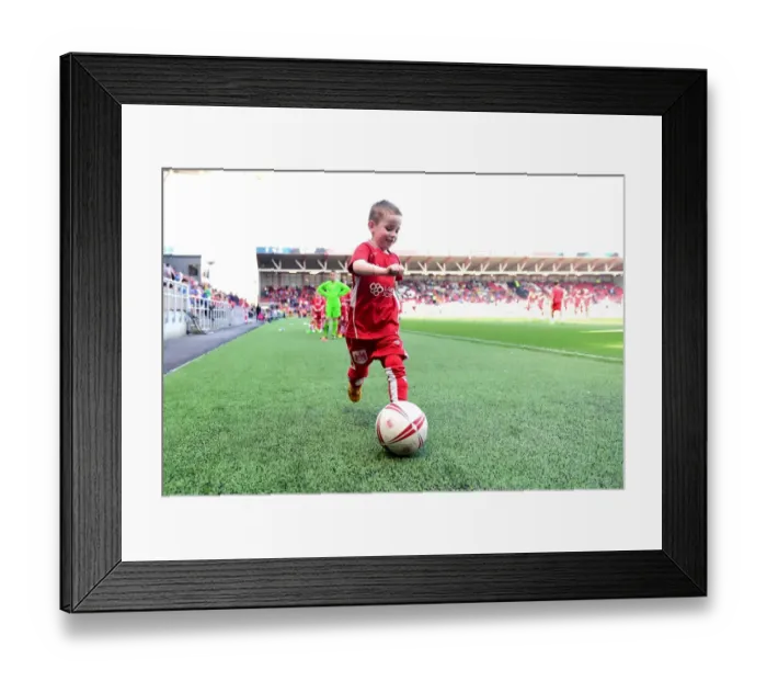 Framed Print : Sky Bet Championship Showdown: Bristol City vs. Wolverhampton Wanderers - Mascot Face-Off at Ashton Gate Framed Print : Sky Bet Championship Showdown: Bristol City vs. Wolverhampton Wanderers - Mascot Face-Off at Ashton Gate