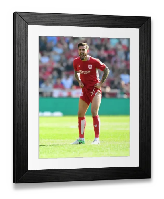 Framed Print : Marlon Pack of Bristol City vs. Wolverhampton Wanderers in Sky Bet Championship Action at Ashton Gate, April 2017 Framed Print : Marlon Pack of Bristol City vs. Wolverhampton Wanderers in Sky Bet Championship Action at Ashton Gate, April 2017