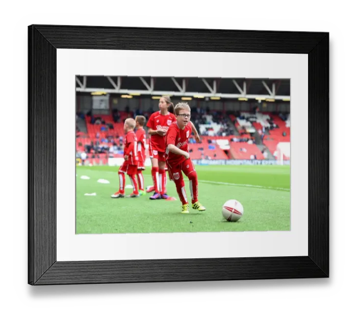Framed Print : Bristol City vs Queens Park Rangers: Clash at Ashton Gate - Sky Bet Championship Framed Print : Bristol City vs Queens Park Rangers: Clash at Ashton Gate - Sky Bet Championship