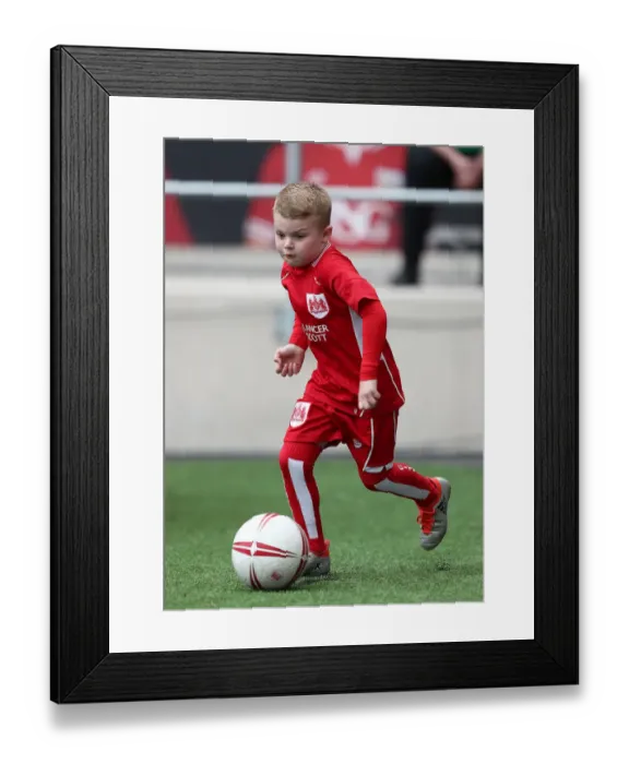 Framed Print : A Mascot Showdown: Bristol City vs Queens Park Rangers, Sky Bet Championship (April 14, 2017), Ashton Gate, Bristol, England Framed Print : A Mascot Showdown: Bristol City vs Queens Park Rangers, Sky Bet Championship (April 14, 2017), Ashton Gate, Bristol, England
