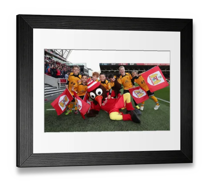 Framed Print : Bristol City vs Queens Park Rangers Flagbearers Clash, Sky Bet Championship (April 14, 2017) - Ashton Gate Framed Print : Bristol City vs Queens Park Rangers Flagbearers Clash, Sky Bet Championship (April 14, 2017) - Ashton Gate