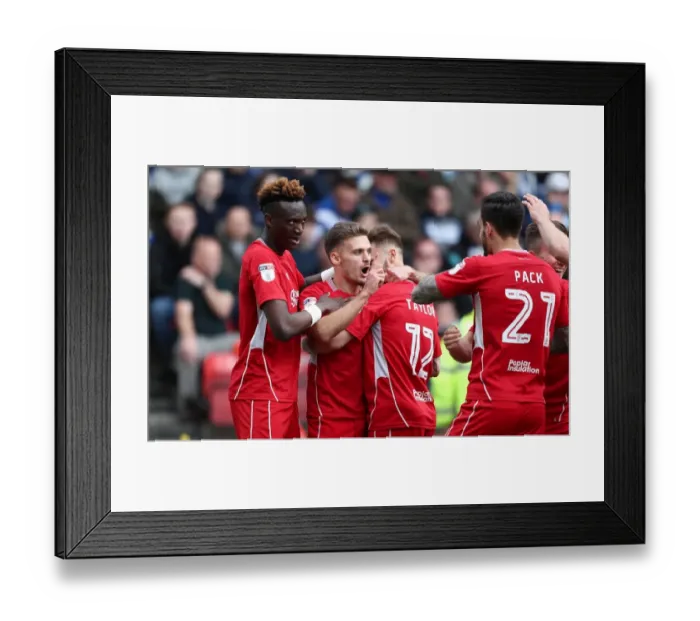Framed Print : Jamie Paterson's Goal Celebration: Bristol City vs. Queens Park Rangers, Sky Bet Championship 2017 Framed Print : Jamie Paterson's Goal Celebration: Bristol City vs. Queens Park Rangers, Sky Bet Championship 2017