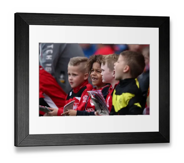 Framed Print : Sea of Passion: Bristol City vs Queens Park Rangers, Sky Bet Championship (14 / 04 / 2017)