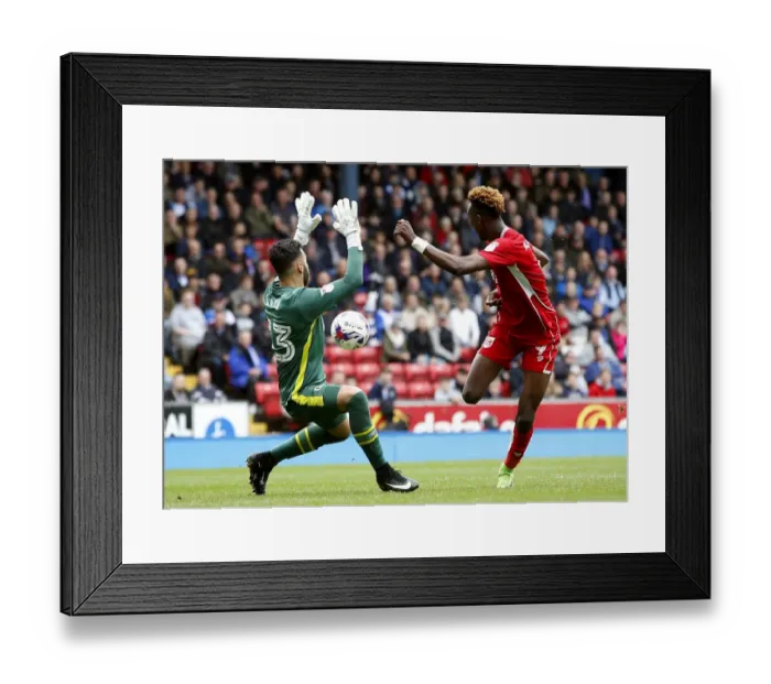 Framed Print : Tammy Abraham Scores First Goal for Bristol City: Blackburn Rovers vs. Bristol City, Sky Bet Championship (17 / 04 / 2017) Framed Print : Tammy Abraham Scores First Goal for Bristol City: Blackburn Rovers vs. Bristol City, Sky Bet Championship (17 / 04 / 2017)