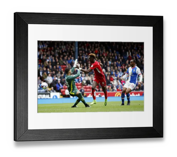 Framed Print : Tammy Abraham Scores First Goal: Blackburn Rovers vs. Bristol City, Sky Bet Championship (17 / 04 / 2017) Framed Print : Tammy Abraham Scores First Goal: Blackburn Rovers vs. Bristol City, Sky Bet Championship (17 / 04 / 2017)