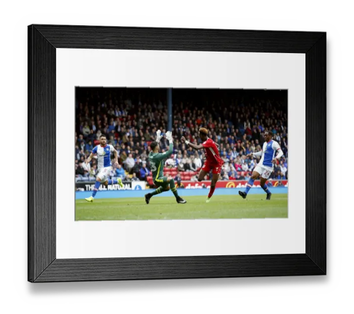 Framed Print : Tammy Abraham Scores First Goal for Bristol City: Thrilling Sky Bet Championship Match at Ewood Park (17.04.2017) Framed Print : Tammy Abraham Scores First Goal for Bristol City: Thrilling Sky Bet Championship Match at Ewood Park (17.04.2017)