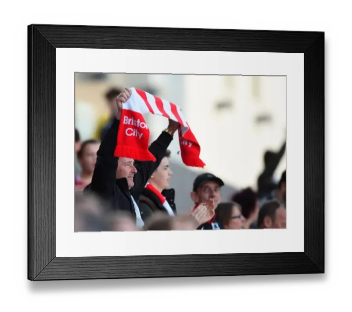 Framed Print : Bristol City Celebrate Championship Victory Over Barnsley at Ashton Gate Framed Print : Bristol City Celebrate Championship Victory Over Barnsley at Ashton Gate