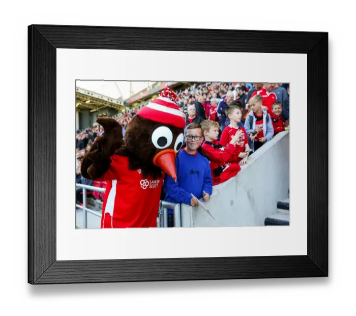 Framed Print : Sky Bet Championship Clash: Bristol City vs Barnsley at Ashton Gate Stadium (22nd April 2017) Framed Print : Sky Bet Championship Clash: Bristol City vs Barnsley at Ashton Gate Stadium (22nd April 2017)