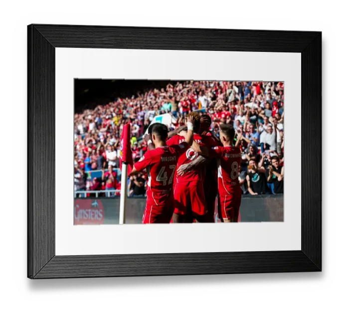 Framed Print : Aden Flint's Dramatic Goal: Bristol City Secures 3-2 Victory Over Barnsley Framed Print : Aden Flint's Dramatic Goal: Bristol City Secures 3-2 Victory Over Barnsley